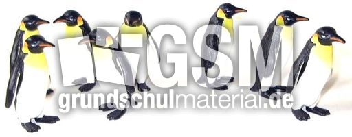 Pingu8-3.jpg